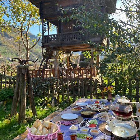 Zeni De Vore Serender & House Apart otel Rize Dış mekan fotoğraf