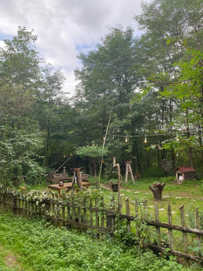 Zeni De Vore Serender & House Apart otel Rize Dış mekan fotoğraf