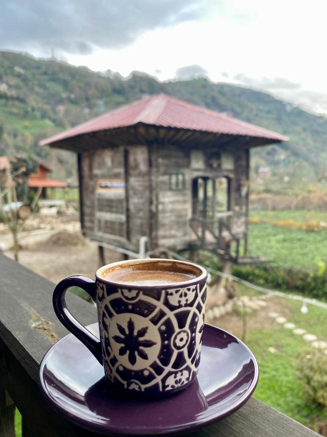 Zeni De Vore Serender & House Apart otel Rize Dış mekan fotoğraf