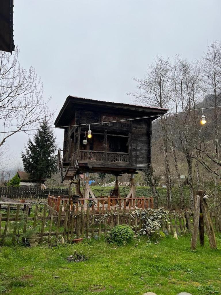 Zeni De Vore Serender & House Apart otel Rize Dış mekan fotoğraf